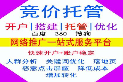 竞价广告策略案例分析